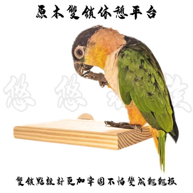 【YOYO 悠悠水族】原木雙鎖休憩平台(鳥飼料、鸚鵡飼料、鳥用品、鳥玩具、鸚鵡用品、鸚鵡玩具)