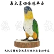 【YOYO 悠悠水族】加固型原木休憩平台(鳥飼料、鸚鵡飼料、鳥用品、鳥玩具、鸚鵡用品、鸚鵡玩具)