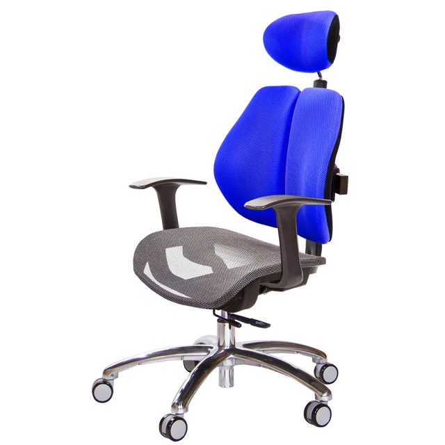 GXG 吉加吉GXG 吉加吉 高雙背網座 工學椅 鋁腳/T字扶手(TW-2806 LUA)