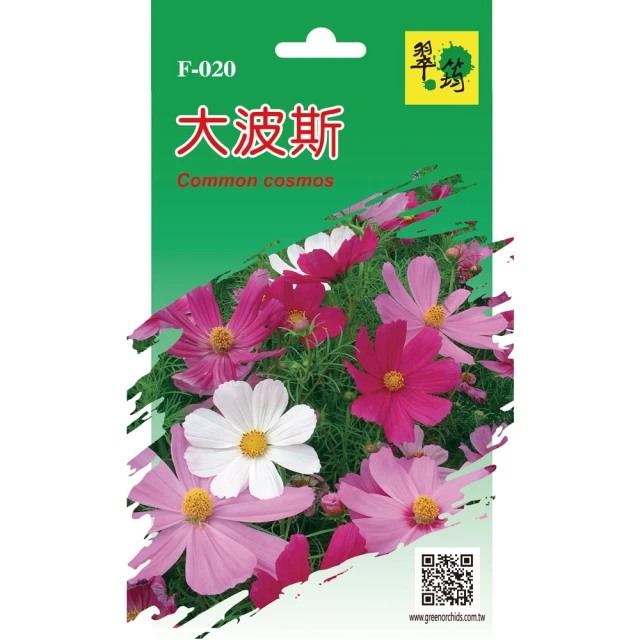 翠筠用品 花卉種子C組