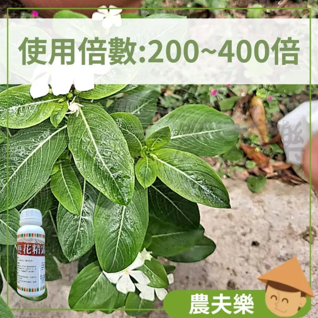 【農夫樂】葵無露 0.5L 無毒殺蟲劑(園藝害蟲 白粉病 介殼蟲 紅蜘蛛 蚜蟲 薊馬 除蟲 驅蟲 防蟲 葵花精露)