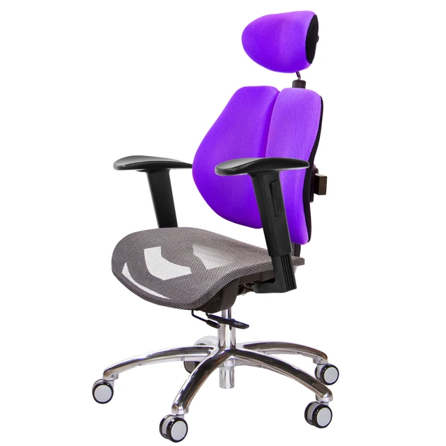 GXG 吉加吉GXG 吉加吉 高雙背網座 工學椅 鋁腳/2D升降扶手(TW-2806 LUA2)