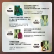 【AVEDA】佳節禮盒_5款任選(美國原裝 蘊活菁華/花植結構/蘊活光萃)