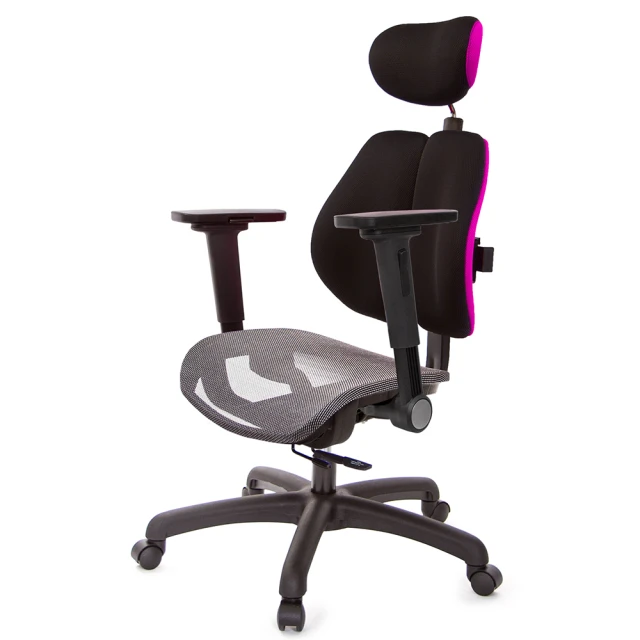 GXG 吉加吉GXG 吉加吉 高雙背網座 工學椅 /4D平面摺疊扶手(TW-2806 EA1H)