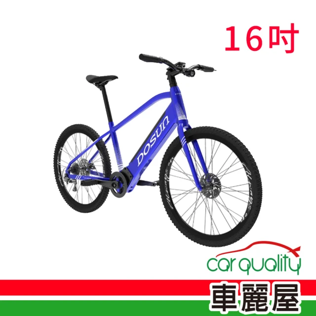 【DOSUN】電動輔助自行車 DOSUN CT150 16吋 藍色 送安裝(車麗屋)