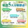 NEW LIFE酵綠纖3盒(30錠/盒 蔬果酵素.鳳梨酵素.SOD.膳食纖維)