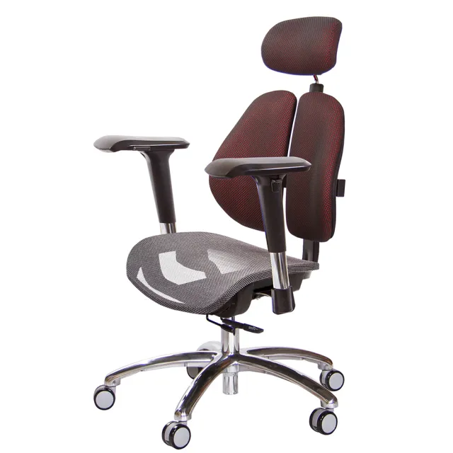 GXG 吉加吉】高雙背網座工學椅鋁腳/4D金屬扶手(TW-2806 LUA7) - momo 