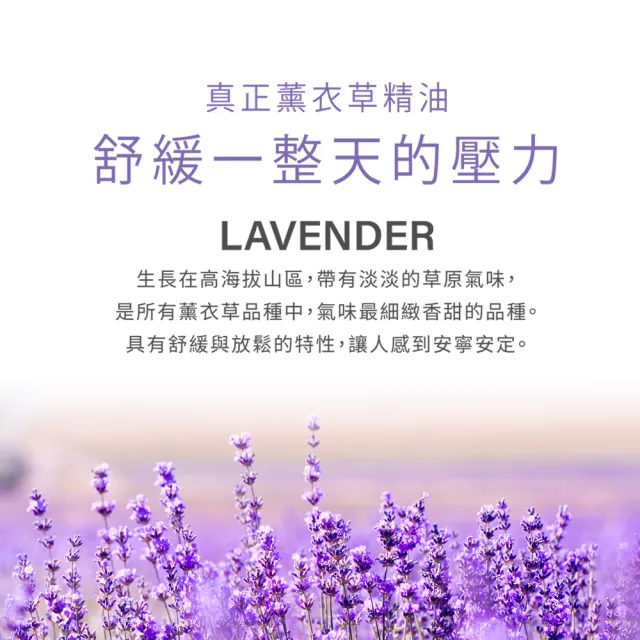 【珍朵絲特】薰衣草肌安舒緩化妝水+精華液+保濕乳(佐登妮絲香氛精油系列)