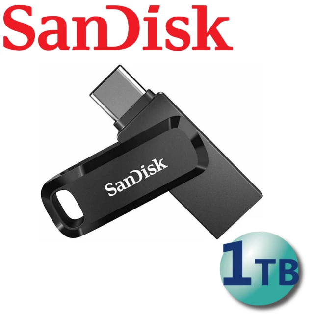 SanDisk 晟碟 1TB Ultra USB Go Ty