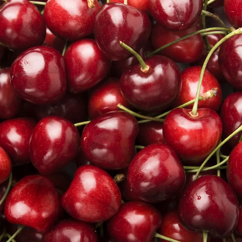 【WANG 蔬果】智利櫻桃J/10R 1.8kgx1盒(1.8kg/盒_禮盒組)(中秋禮盒)