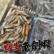 【一手鮮貨】臺灣野生老劍蝦(2盒組/單盒1.2kg±10%)