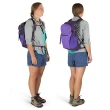 【Osprey】Daylite Plus 20L 多功能後背包 冒險綠/綠(日常/旅行/健行背包 15吋筆電背包)