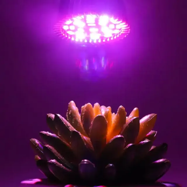 【微糖花植間】SJ 紅藍植物燈/植物生長燈(補光專用燈、著色專用燈)