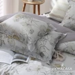 【HOYACASA  禾雅寢具】100%抗菌天絲兩用被床包組-墨香清嵐(雙人)