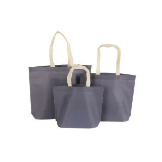【Jo Go Wu】手提環保購物袋-小款2入(手提袋/素色環保袋/素色提袋/環保手提袋/收納袋)
