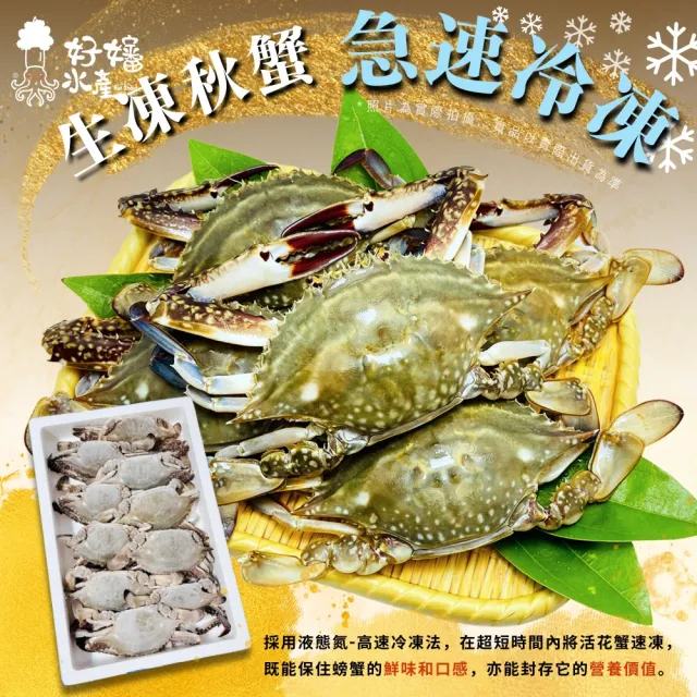 【好嬸水產】韓國直送-野生爆肉急速生凍花蟹XL 200G