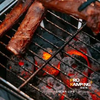 【Pro Kamping 領航家】炭烤精靈椰炭1.2KG/3入(烤肉木炭 無煙木炭 炭精椰炭 環保椰子炭 燒烤木炭)