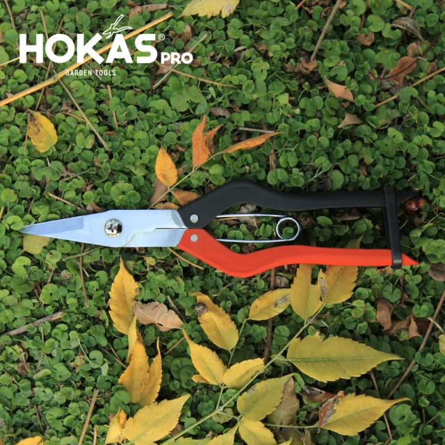 【HOKAS】專業火龍果剪(台灣製芽切剪 修枝 採果 S523)