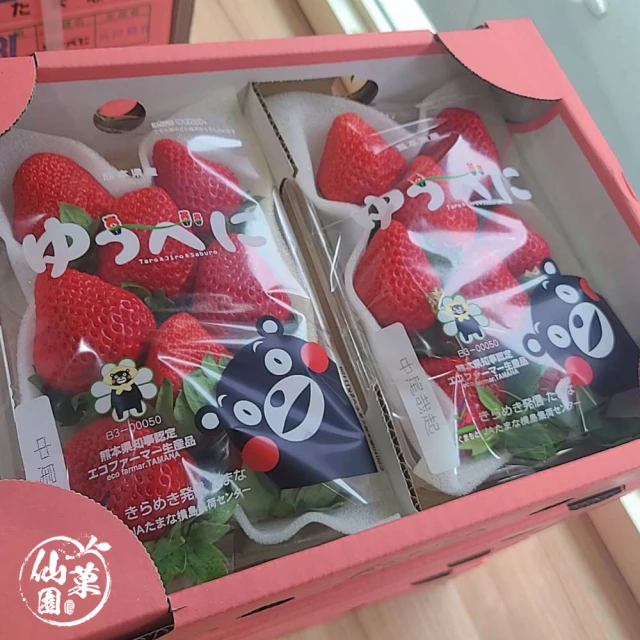 仙菓園 韓國冬戀草莓 兩盒裝 每盒約300g±10%(冷藏配