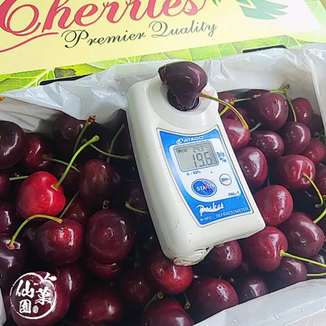 仙菓園 智利空運草莓白櫻桃3J規格 1kg±10%(冷藏配送