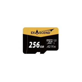 【Exascend】Catalyst microSD V30 256G 記憶卡(正成公司貨)