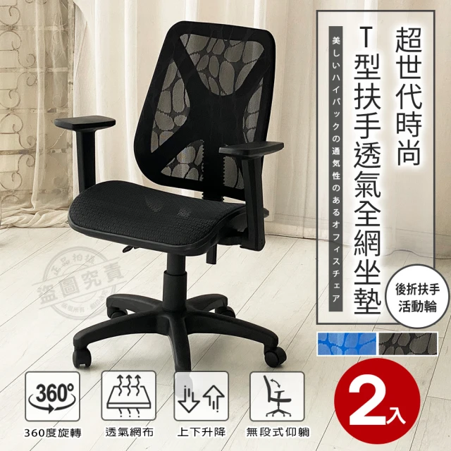 ADS 超世代時尚酷炫雲彩T型可折扶手透氣全網坐墊電腦椅/辦