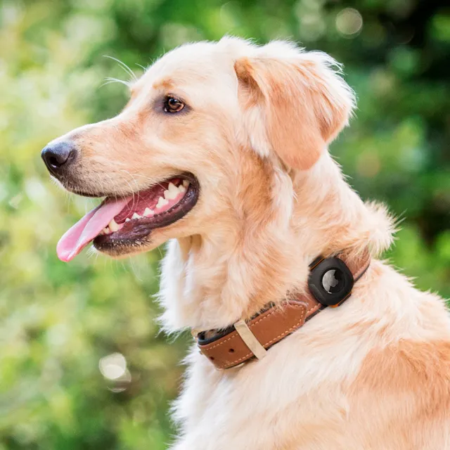 【Spigen】SGP AirTag Pet Collar-寵物項圈環保護殼