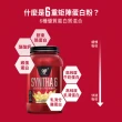 【BSN 畢斯恩】Syntha-6 頂級綜合乳清蛋白 10磅(香草冰淇淋)