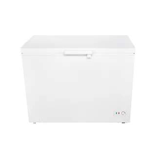 【TECO 東元】300公升 上掀式臥式冷凍櫃(RL3002W)