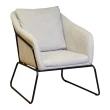 【YU Living 信歐傢居】北歐輕奢風單人鐵腳沙發椅 扶手造型單人椅(2色)