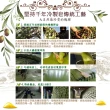 【dalan】頂級76%橄欖油傳統手工皂(6入)