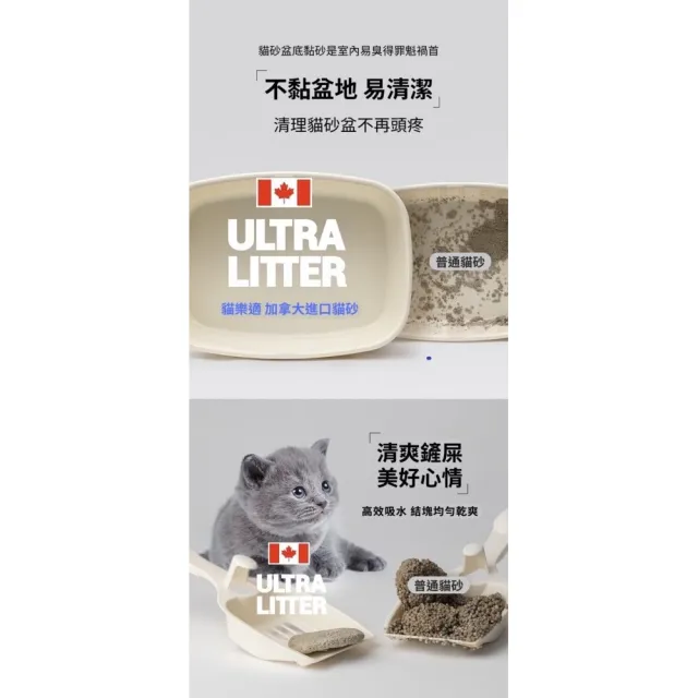 【CATIDEA 貓樂適】超強凝結貓砂12KG(礦砂)
