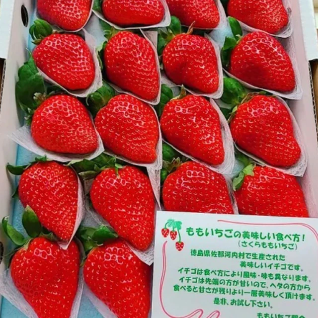 仙菓園 韓國冬戀草莓 兩盒裝 每盒約300g±10%(冷藏配