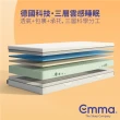 【德國Emma】One床墊 贈保潔墊 標準雙人 152*188*18cm(獨家專利記憶棉 檢測權威耐用認證 高性價比評測冠軍)