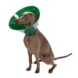【丹麥KRUUSE】BUSTER 綠色環保海洋頭套-25cm(犬貓適用/防舔抓頭套/伊莉莎白寵物頭套/貓狗圍脖頸圈)