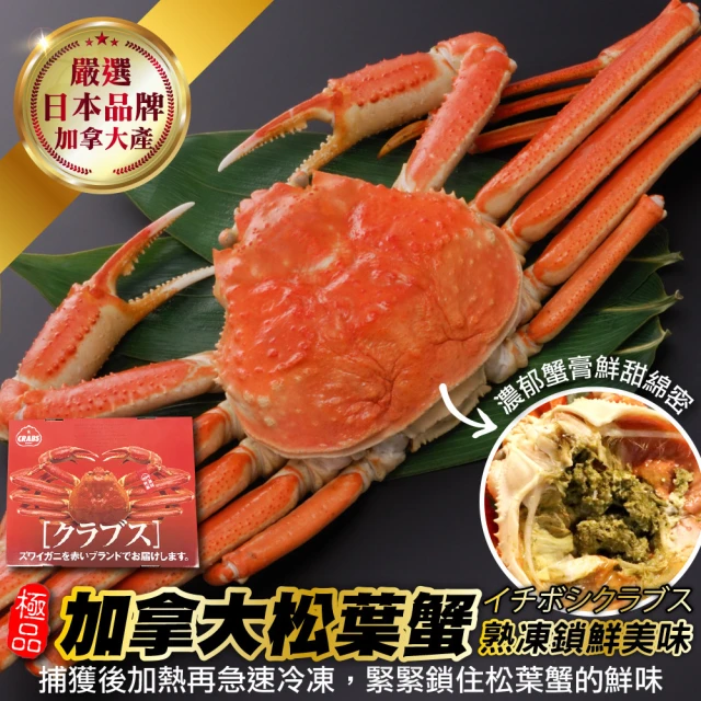 三頓飯 日本品牌加拿大熟松葉蟹整隻(6隻組_350-400g