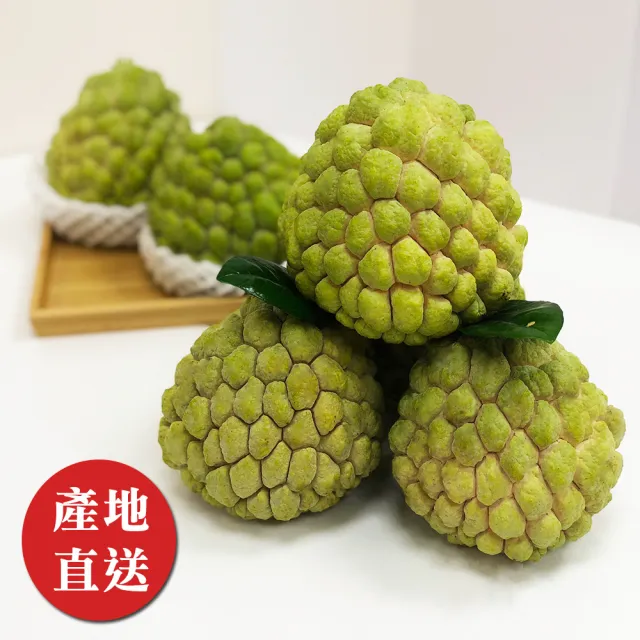 【金好迦】嚴選台東大目釋迦 A級果 5斤x3箱(5-6顆/箱)