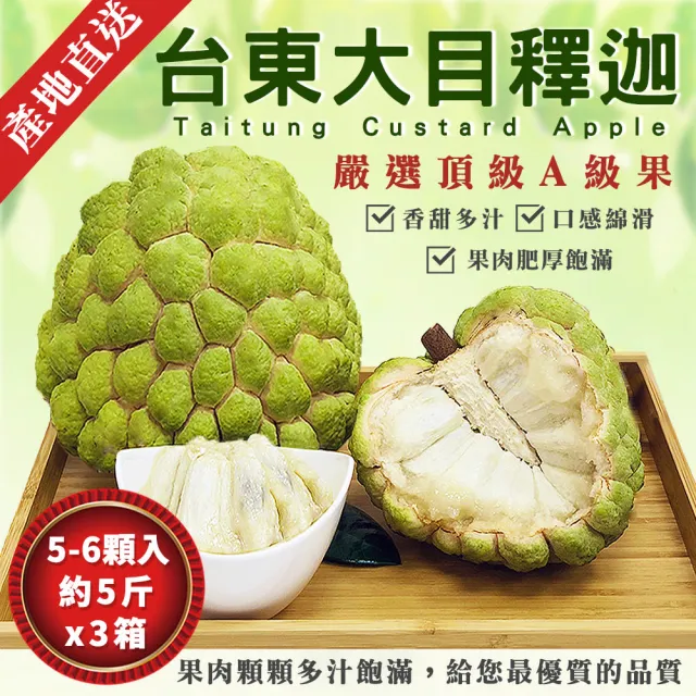 【金好迦】嚴選台東大目釋迦 A級果 5斤x3箱(5-6顆/箱)