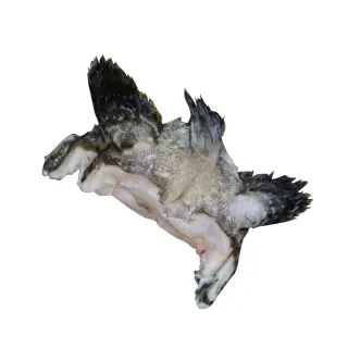 【蘇班長安心石斑】龍虎斑魚下巴300g 6入組 得獎最多的石斑(通過清真認證 純鑽石海水養殖)