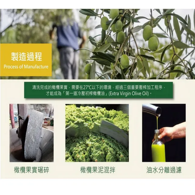 【Olitalia奧利塔】特級初榨橄欖油禮盒組(750mlx2瓶)