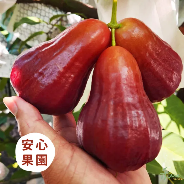 【禾ME】黑糖芭比蓮霧4斤X2盒(約24-30顆/頂級小果)雙11組合