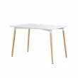 【E-home】EMST北歐簡約實木腳長方桌-120x60cm-兩色可選(餐桌 書桌 工作桌)