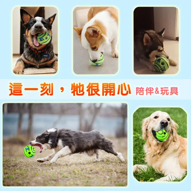 【CB嚴選】磨牙自嗨球(狗狗玩具球 狗玩具球  寵物玩具球 寵物球 狗玩具 狗狗玩具 狗玩具耐咬)