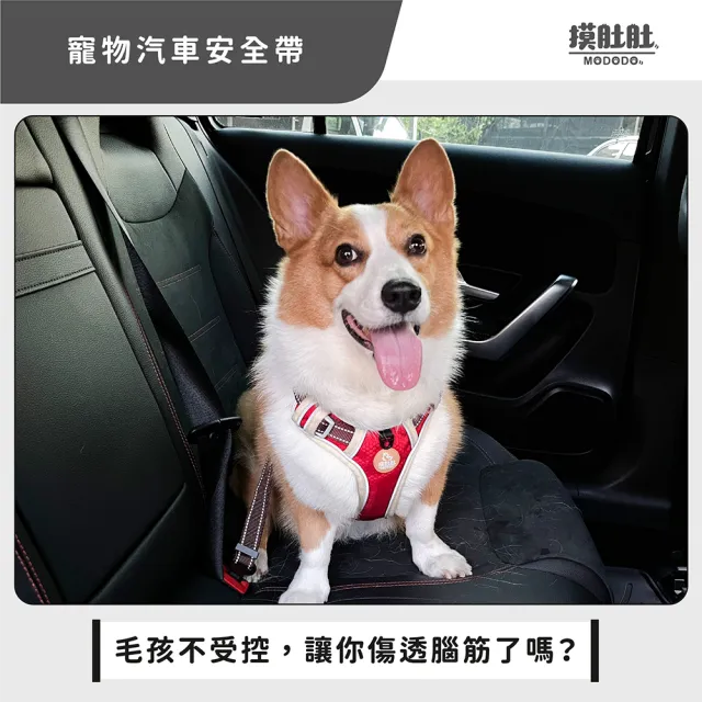 【MODODO 摸肚肚】寵物汽車安全帶 坐車必備(寵物用品 寵物汽車用品 寵物安全帶 狗狗安全帶 狗狗汽車安全帶)