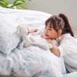 【戀家小舖】60支100%精梳棉枕套床包二件組-單人(花間小兔藍)