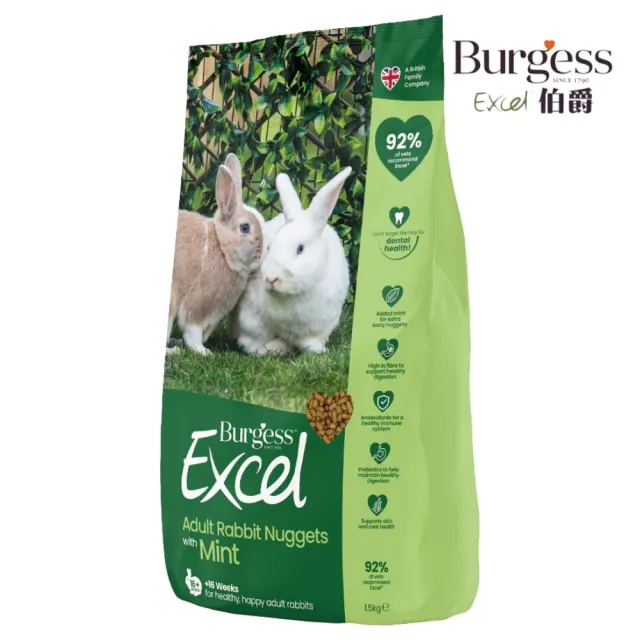 【Burgess 伯爵】兔飼料（室內兔/成兔）1.5kg*2包組(小動物飼料)