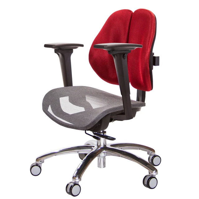 GXG 吉加吉 低雙背網座 工學椅 鋁腳/3D升降扶手(TW
