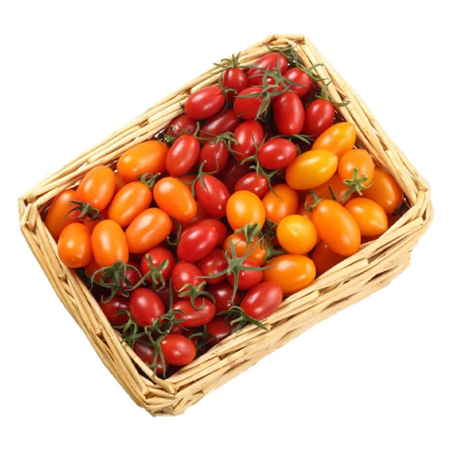 皮果家 雙色小番茄4斤一箱(會出4.1斤確保足重) 推薦