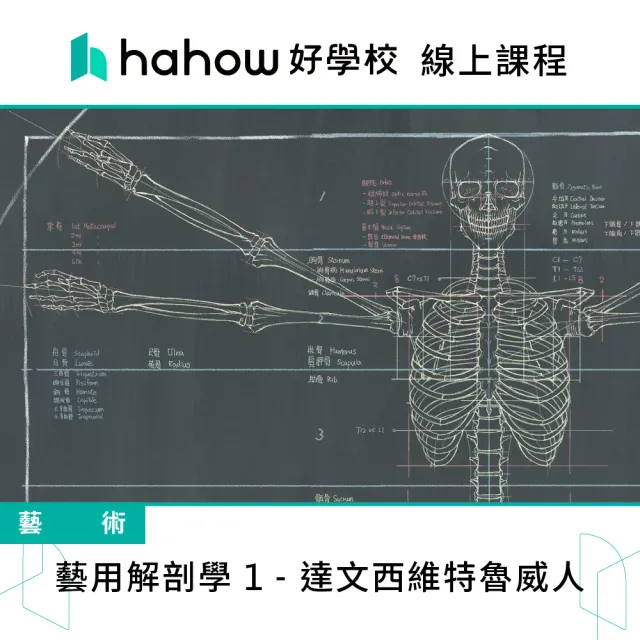 Hahow 好學校】藝用解剖學1 - 達文西維特魯威人- momo購物網- 好評推薦