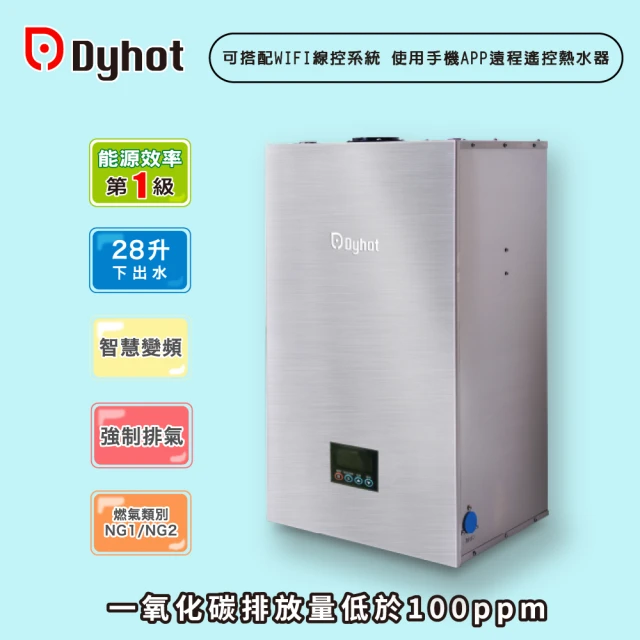 Dyhot 東湧 即熱式燃氣熱水器 一級能效 強排 FEGQ